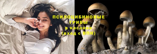 дживик Арсеньев