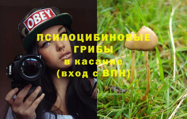 дживик Арсеньев