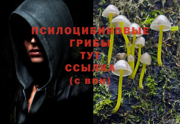 экстази Армянск
