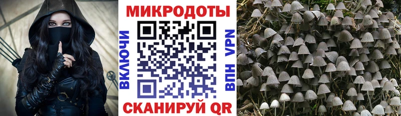 Псилоцибиновые грибы GOLDEN TEACHER  Партизанск 